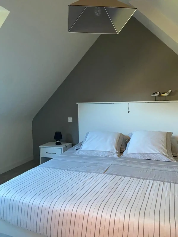 Location d’appartement